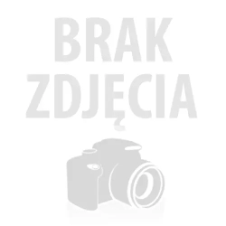 Ładowarka Impulsowa PB-1000 24V 30A